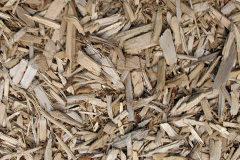 biomass boilers Treforest